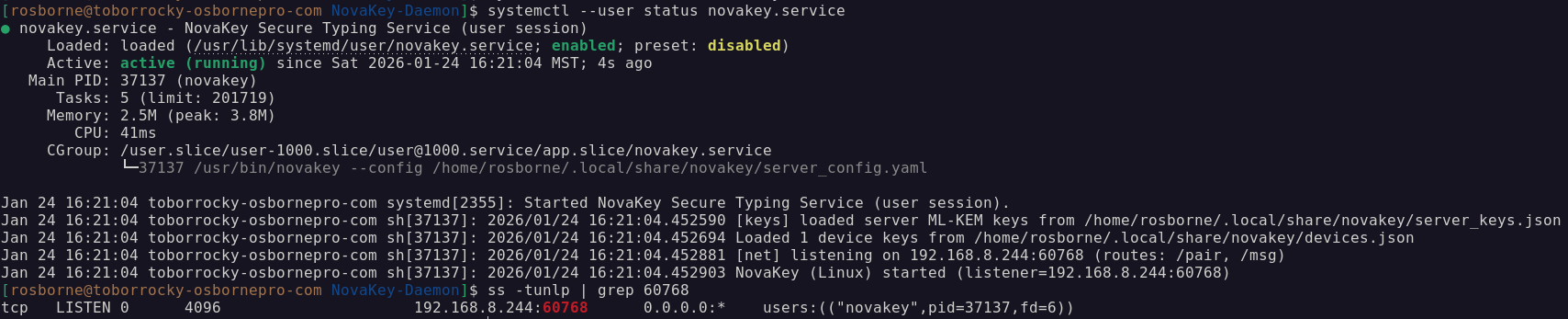 What successfully running Linux service looks like