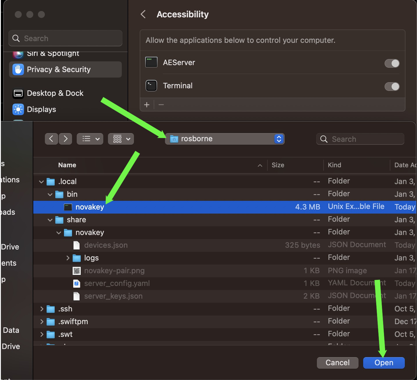 Screenshot where to add accessibility permissions