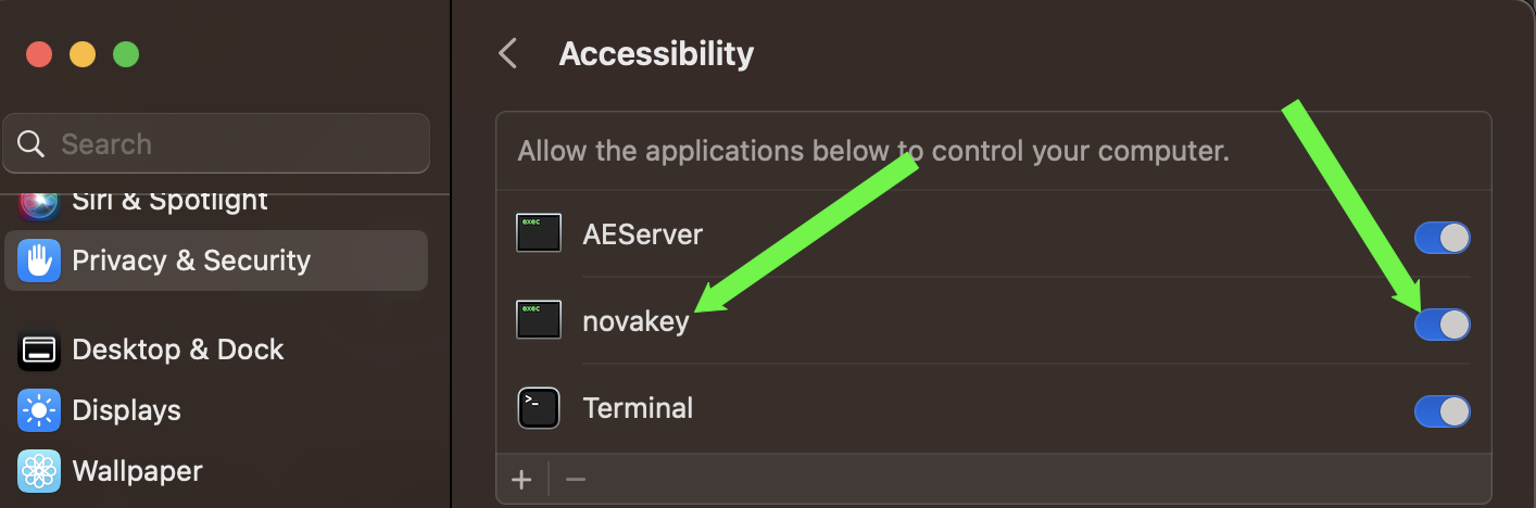 Screenshot of added accessibility permissions
