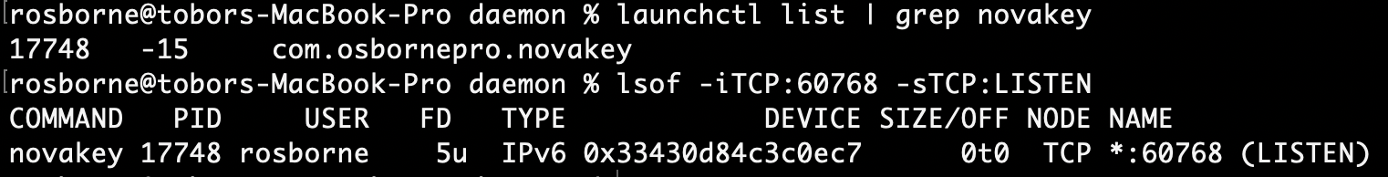 What successfully running macOS Service looks like